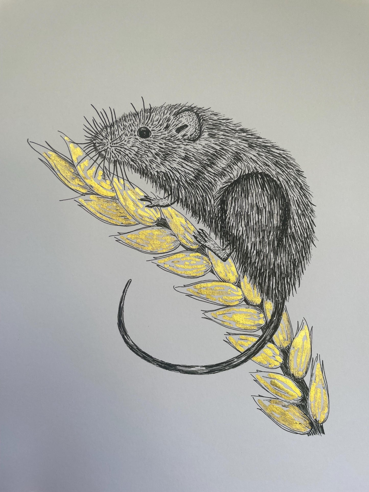 A4 Field Mouse Art Print with gold ink and signature