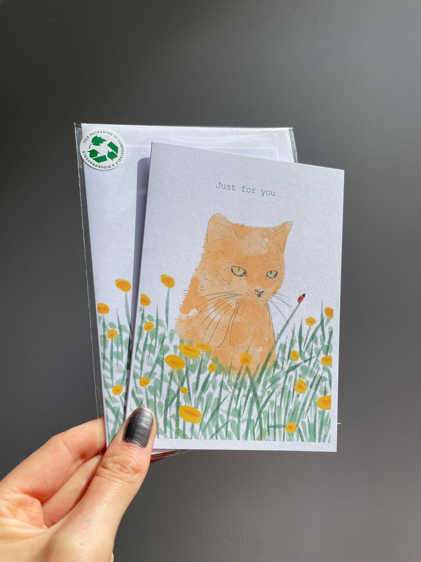 Ginger cat A6 Cards, set of 3: animal lover, Handmade, FREE DELIVERY