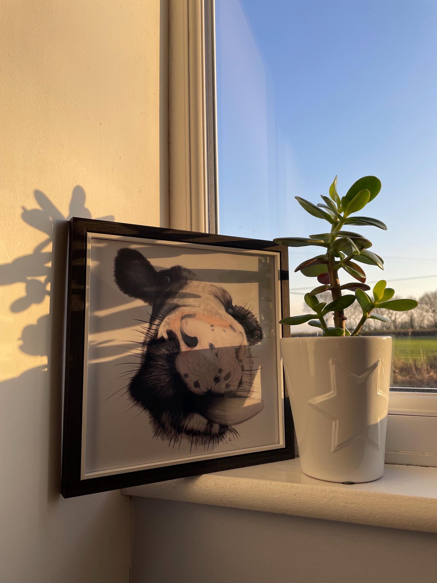 Framed Cow Art Print with signature