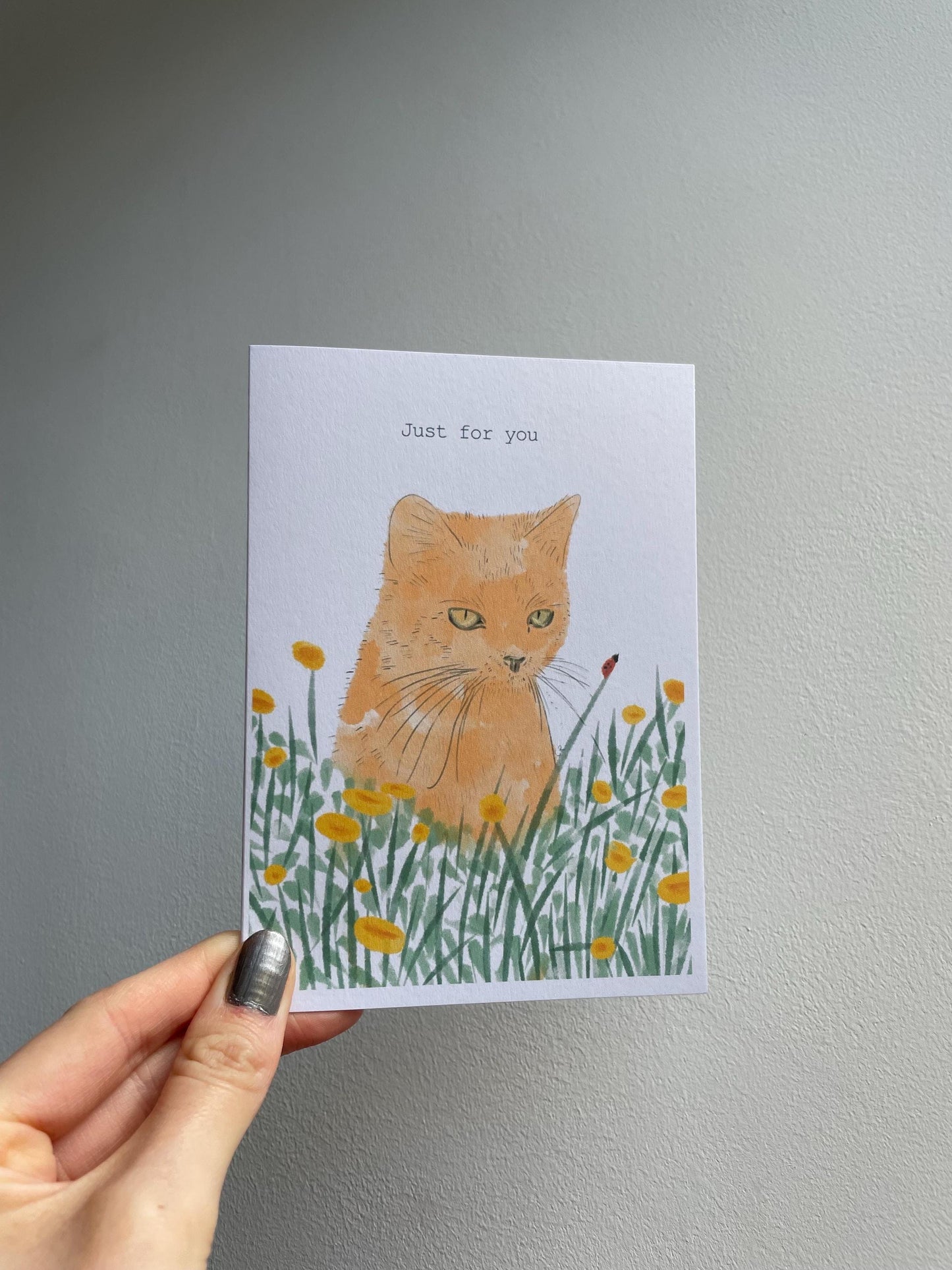 Ginger cat A6 Cards, set of 3: animal lover, Handmade, FREE DELIVERY