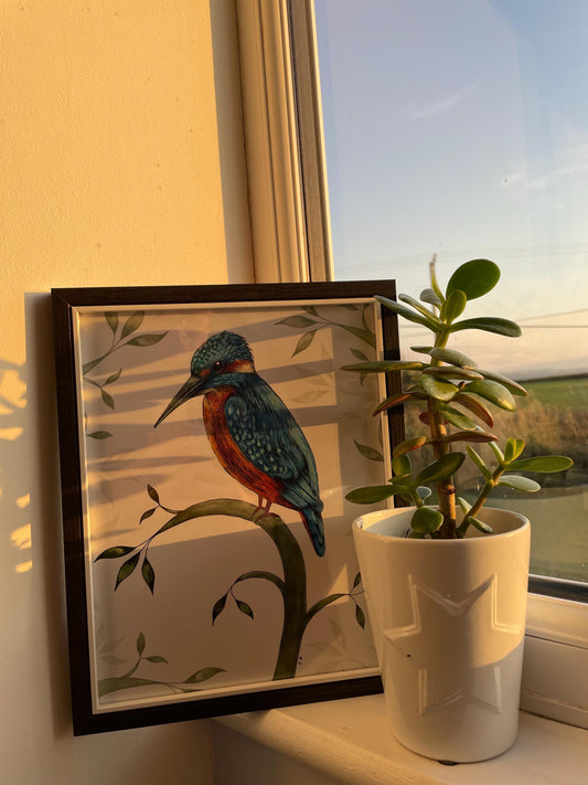 A4 Kingfisher Art Print with signature
