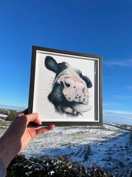 Framed Cow Art Print with signature