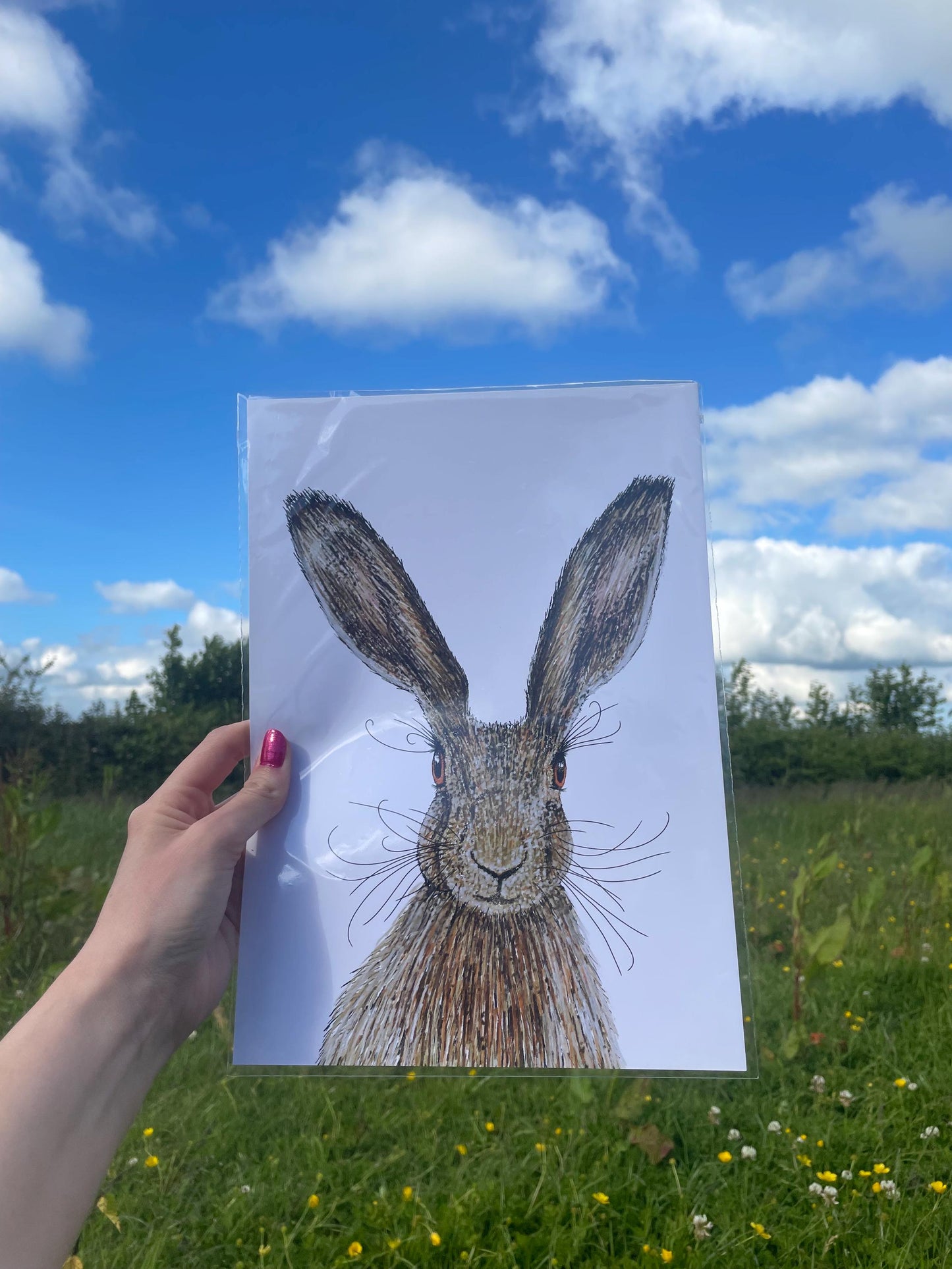 A4 Hare Art Print with signature