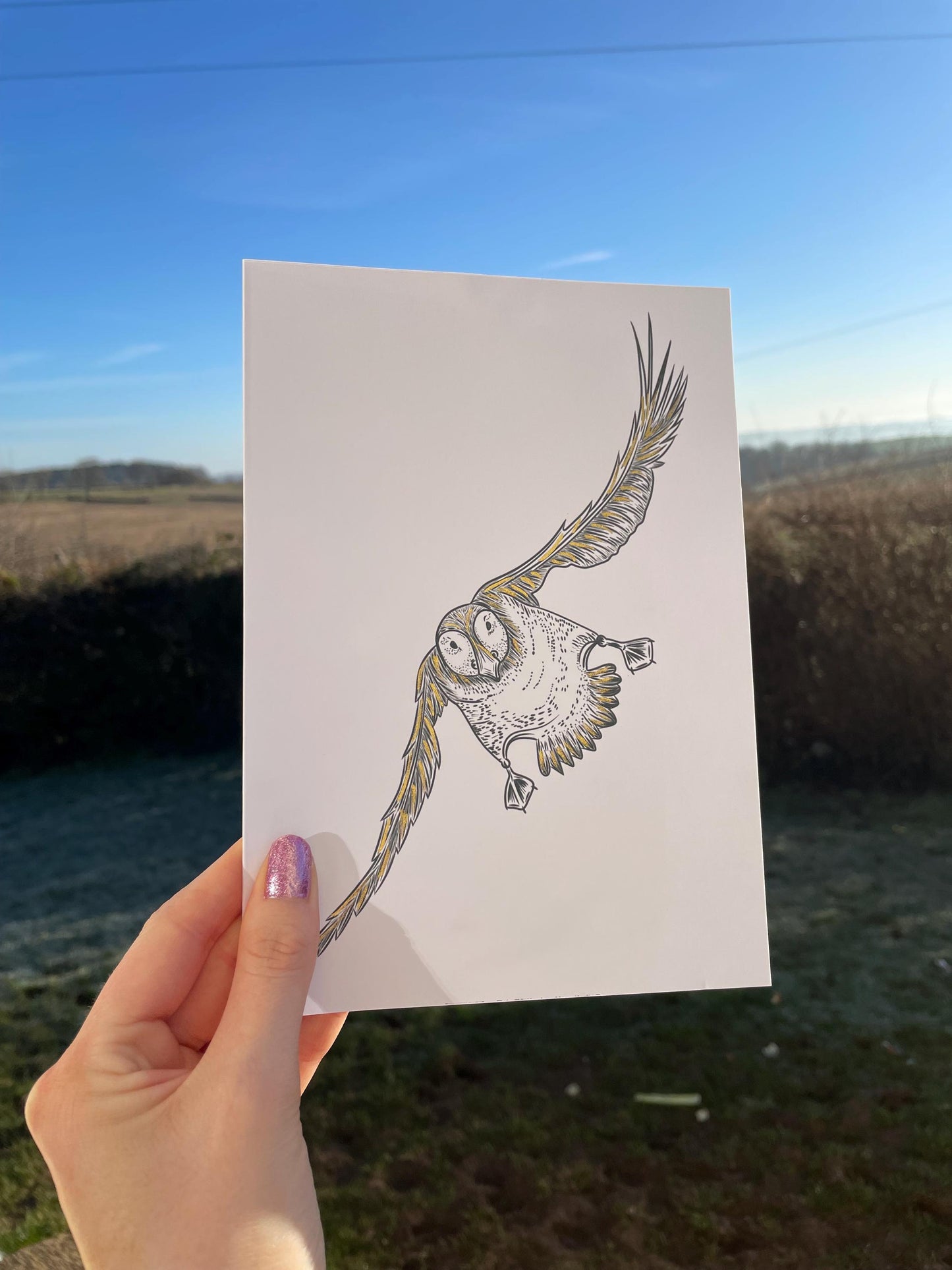 Puffin Card: A5 Bird Drawing with Gold Ink Details, FREE DELIVERY