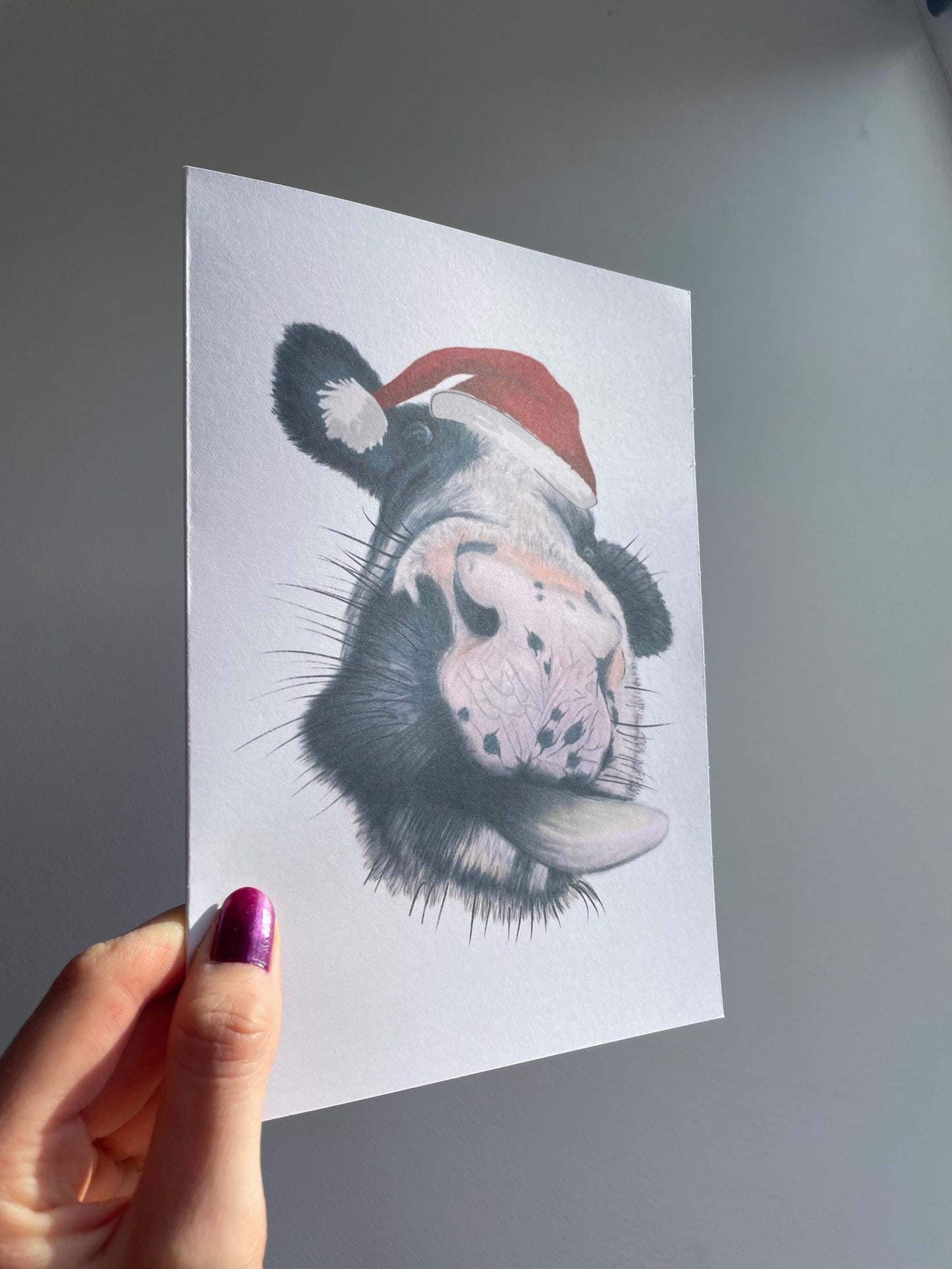 Christmas Cow A5 Card: Handmade, Birthday, blank, FREE DELIVERY