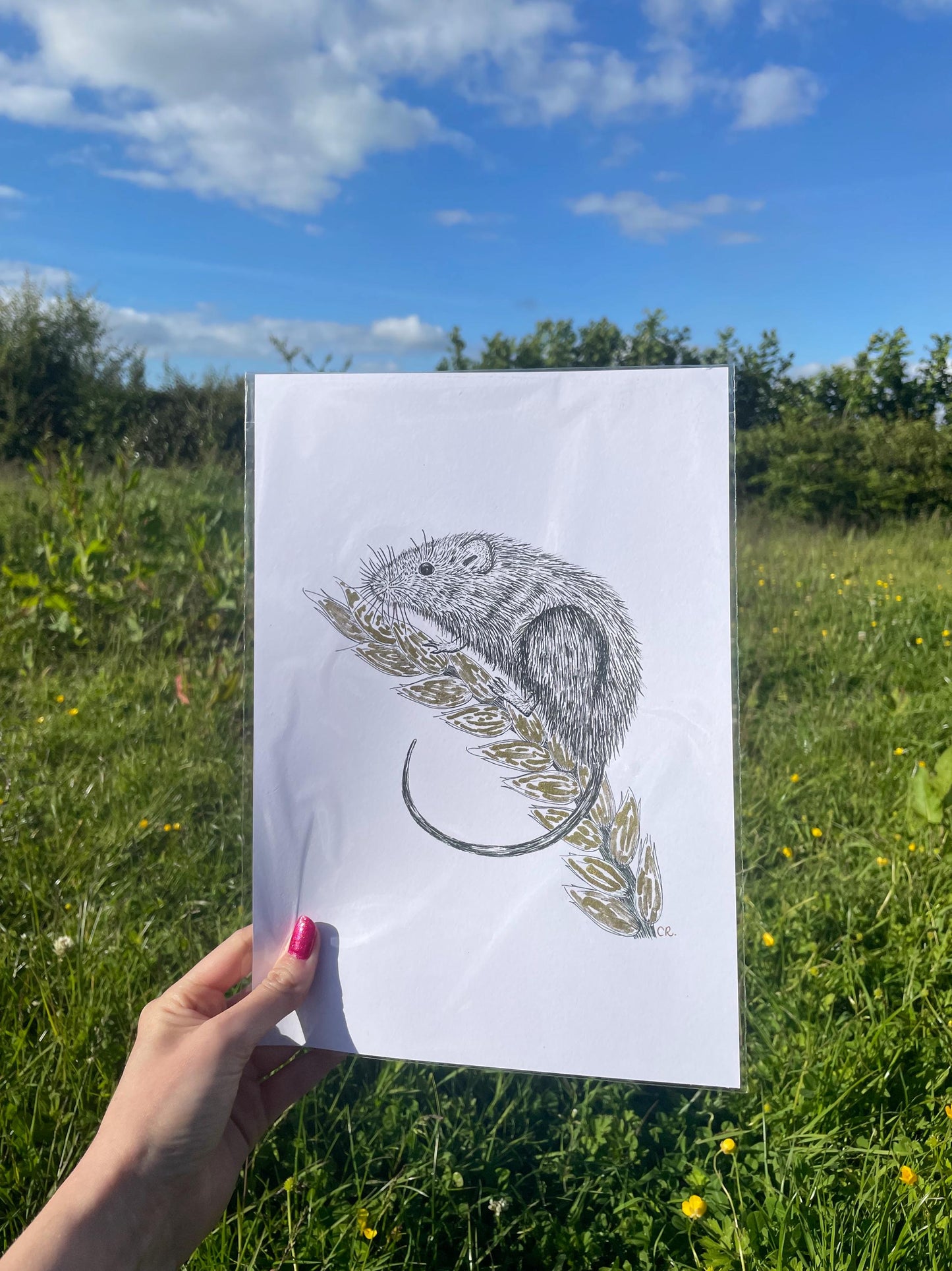 A4 Field Mouse Art Print with gold ink and signature