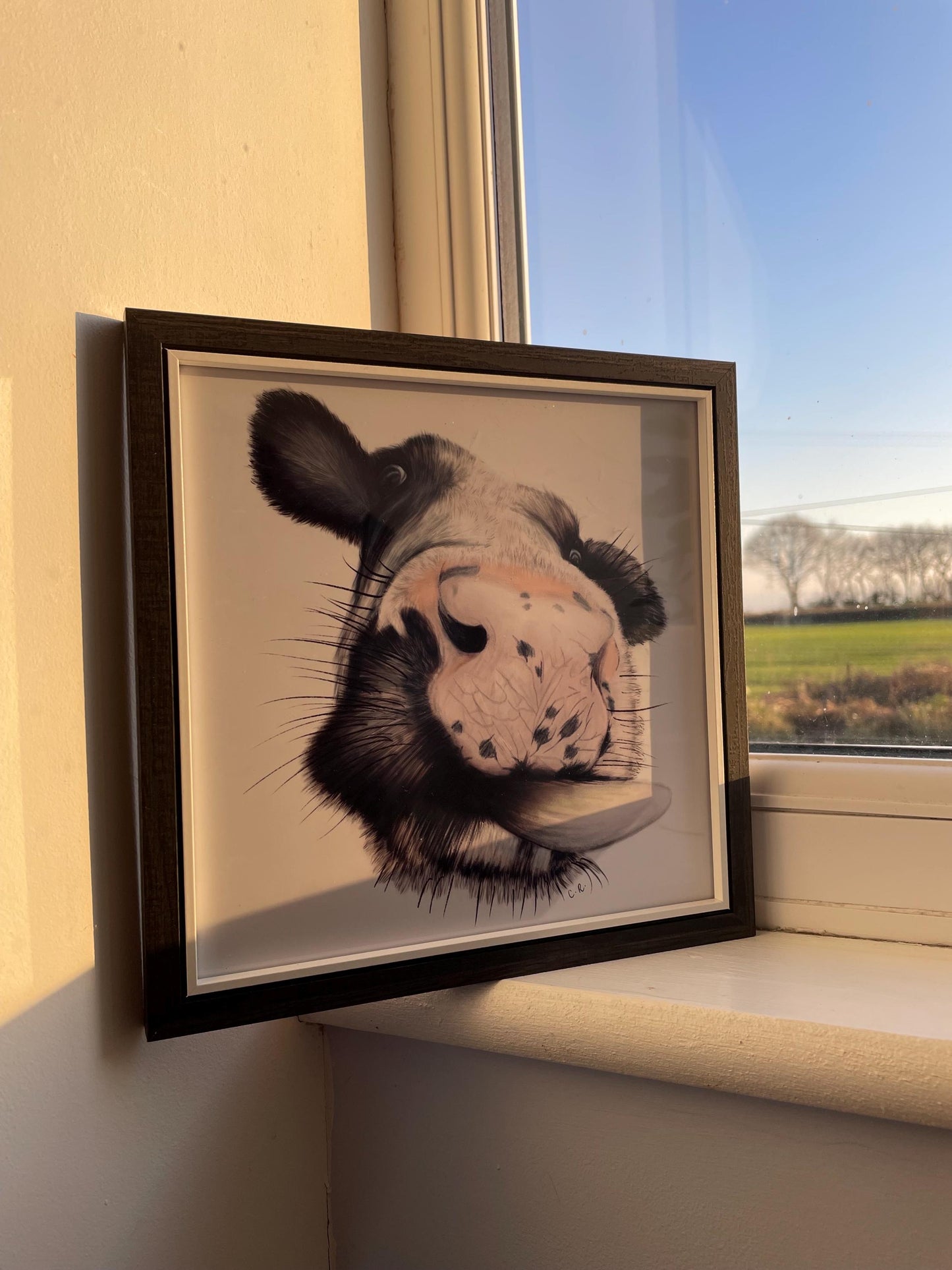 Framed Cow Art Print with signature