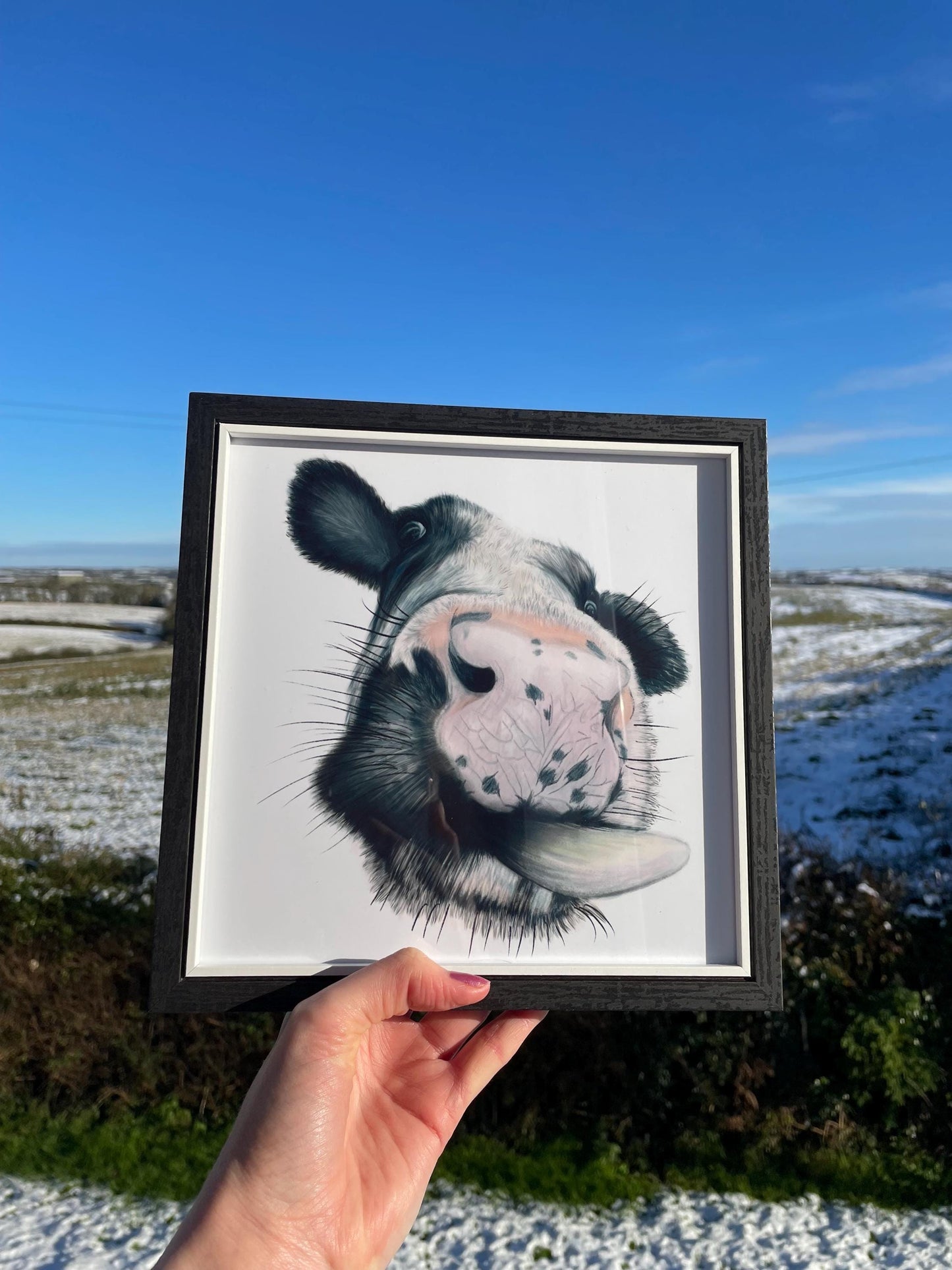 Framed Cow Art Print with signature