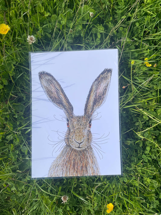 A4 Hare Art Print with signature