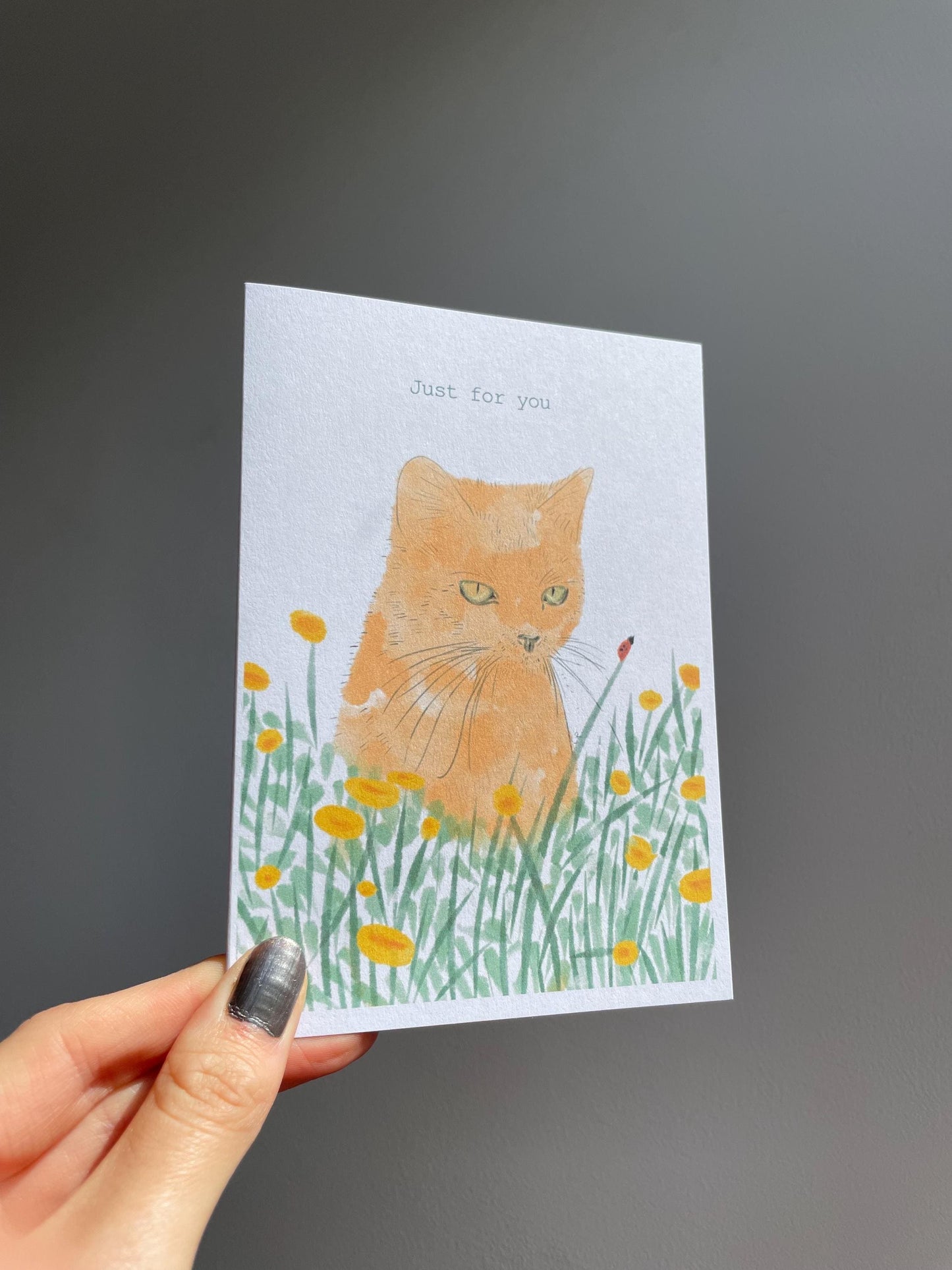 Ginger cat A6 Cards, set of 3: animal lover, Handmade, FREE DELIVERY
