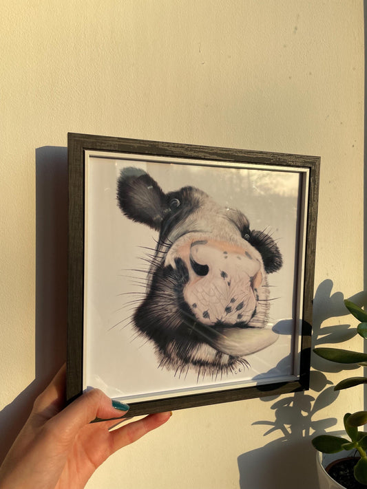 Framed Cow Art Print with signature